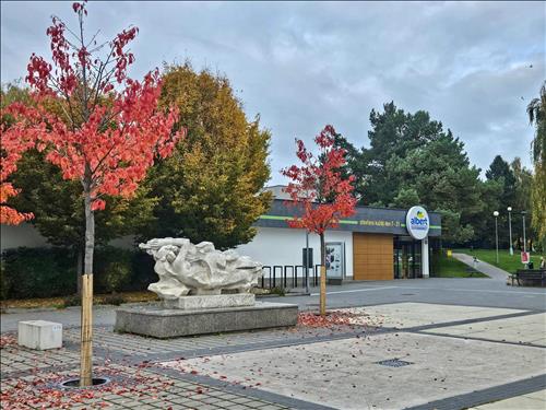 Pozemek p.č. 1548/1 v k.ú. Kohoutovice