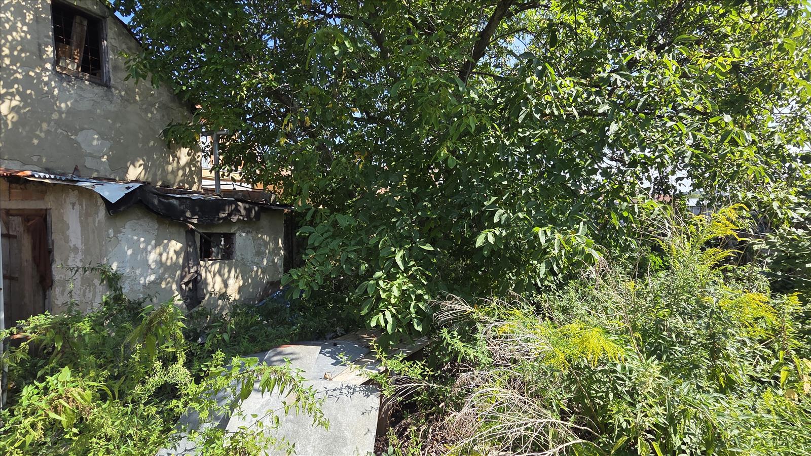 Obrázek 6